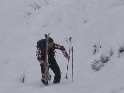 L&#039;Ouille Allegra